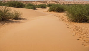 How does Dubai desert heat change the morning and evening safari experience outdoor visual