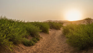 Landscape visual for Weather and operational disruption can lead to a refund, reschedule, or modified safari